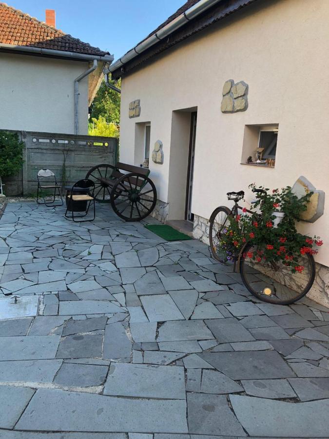 Casa Cezara Apartman Alsószilvás Kültér fotó