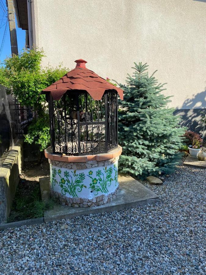 Casa Cezara Apartman Alsószilvás Kültér fotó
