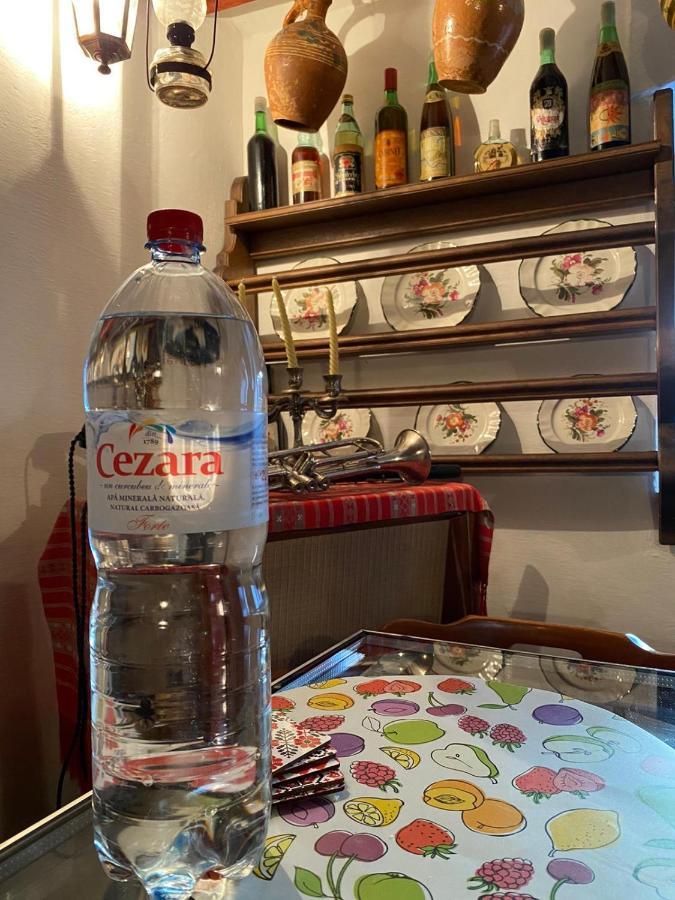Casa Cezara Apartman Alsószilvás Kültér fotó