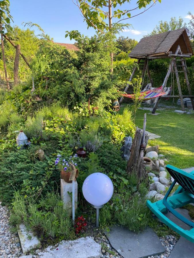 Casa Cezara Apartman Alsószilvás Kültér fotó