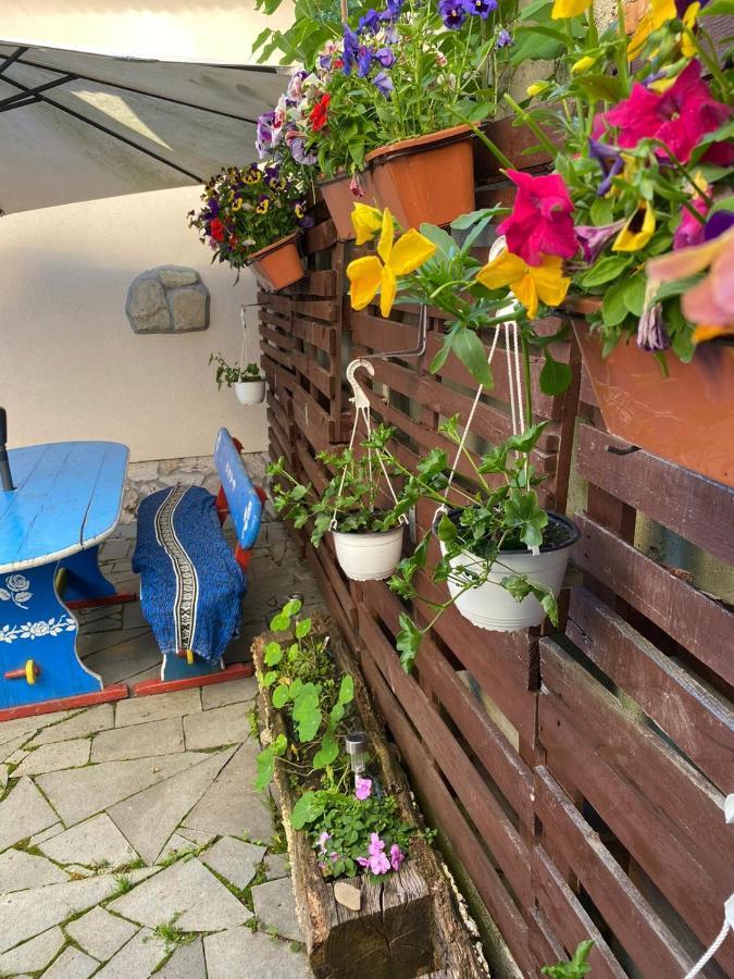 Casa Cezara Apartman Alsószilvás Kültér fotó