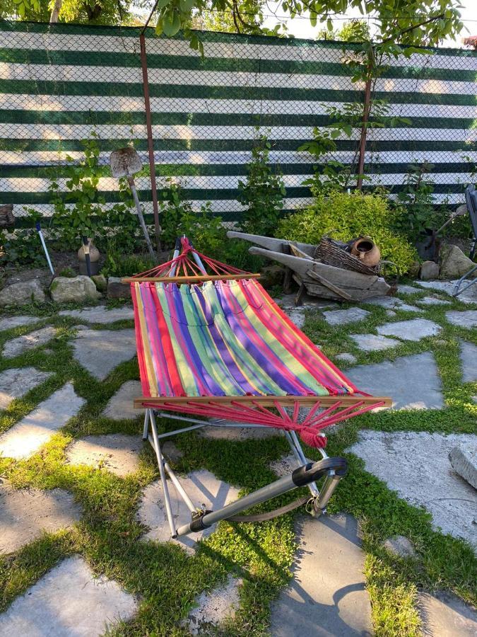 Casa Cezara Apartman Alsószilvás Kültér fotó