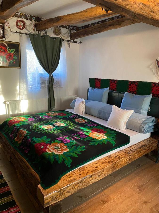 Casa Cezara Apartman Alsószilvás Kültér fotó
