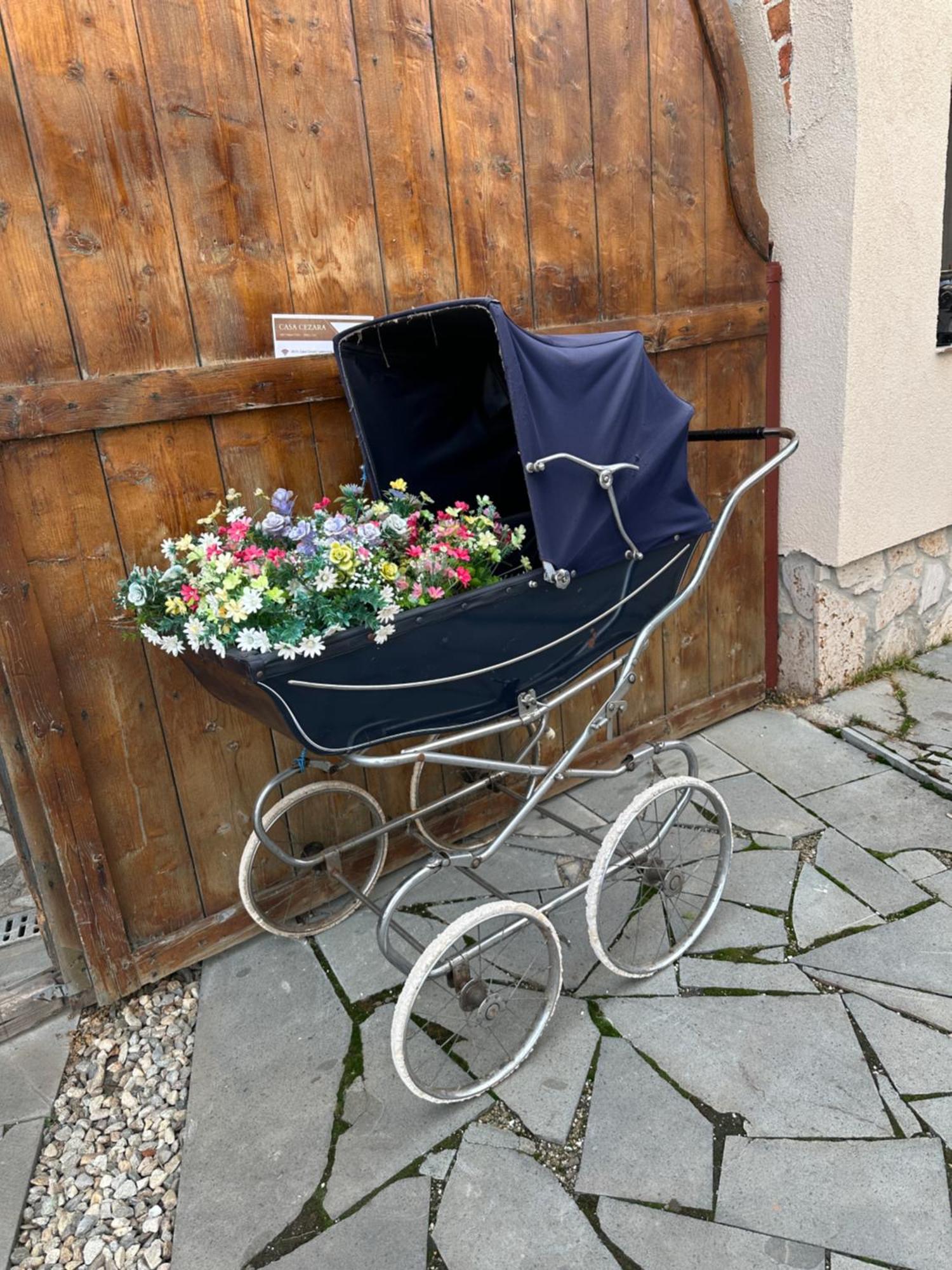 Casa Cezara Apartman Alsószilvás Kültér fotó