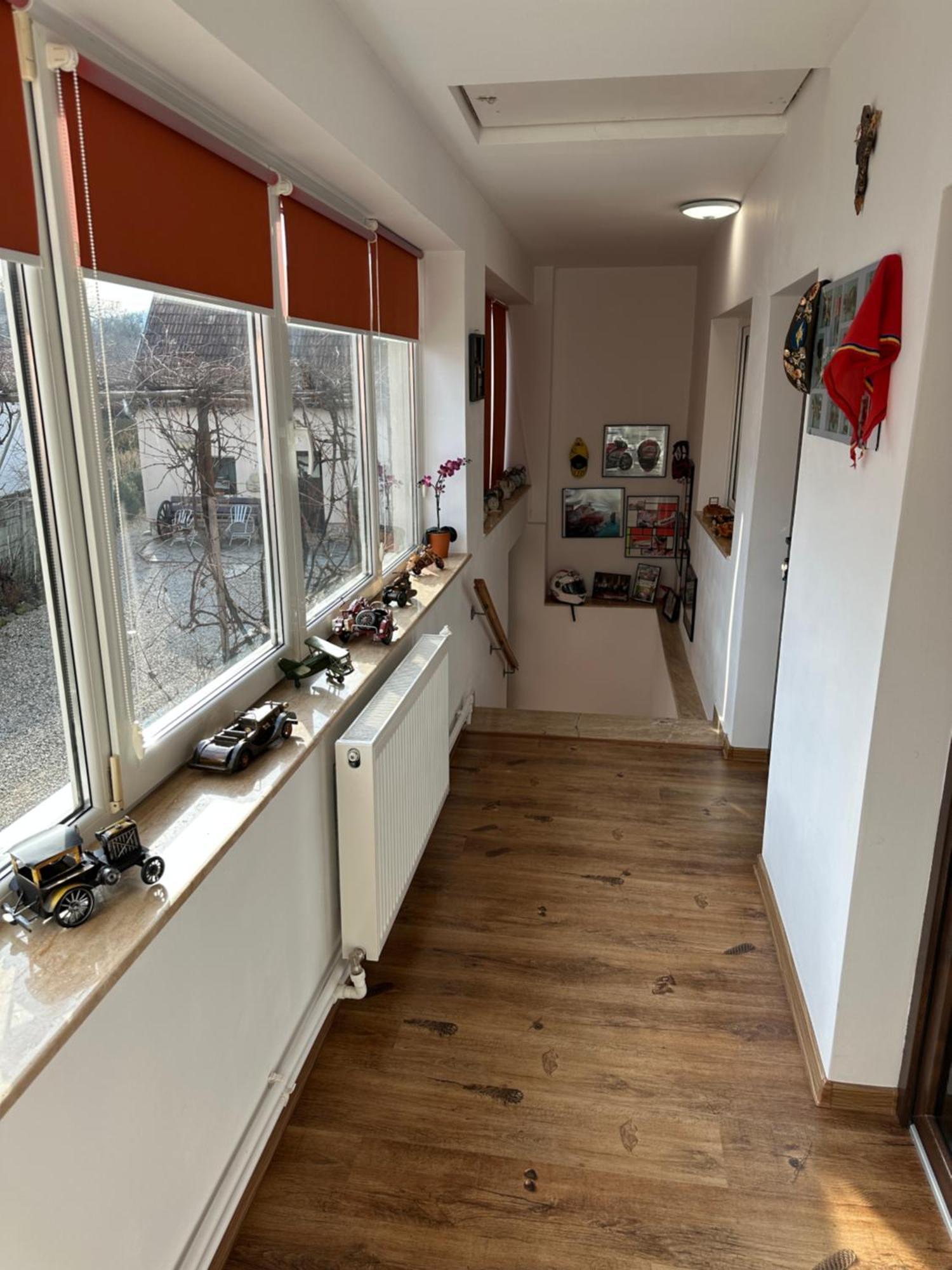 Casa Cezara Apartman Alsószilvás Kültér fotó
