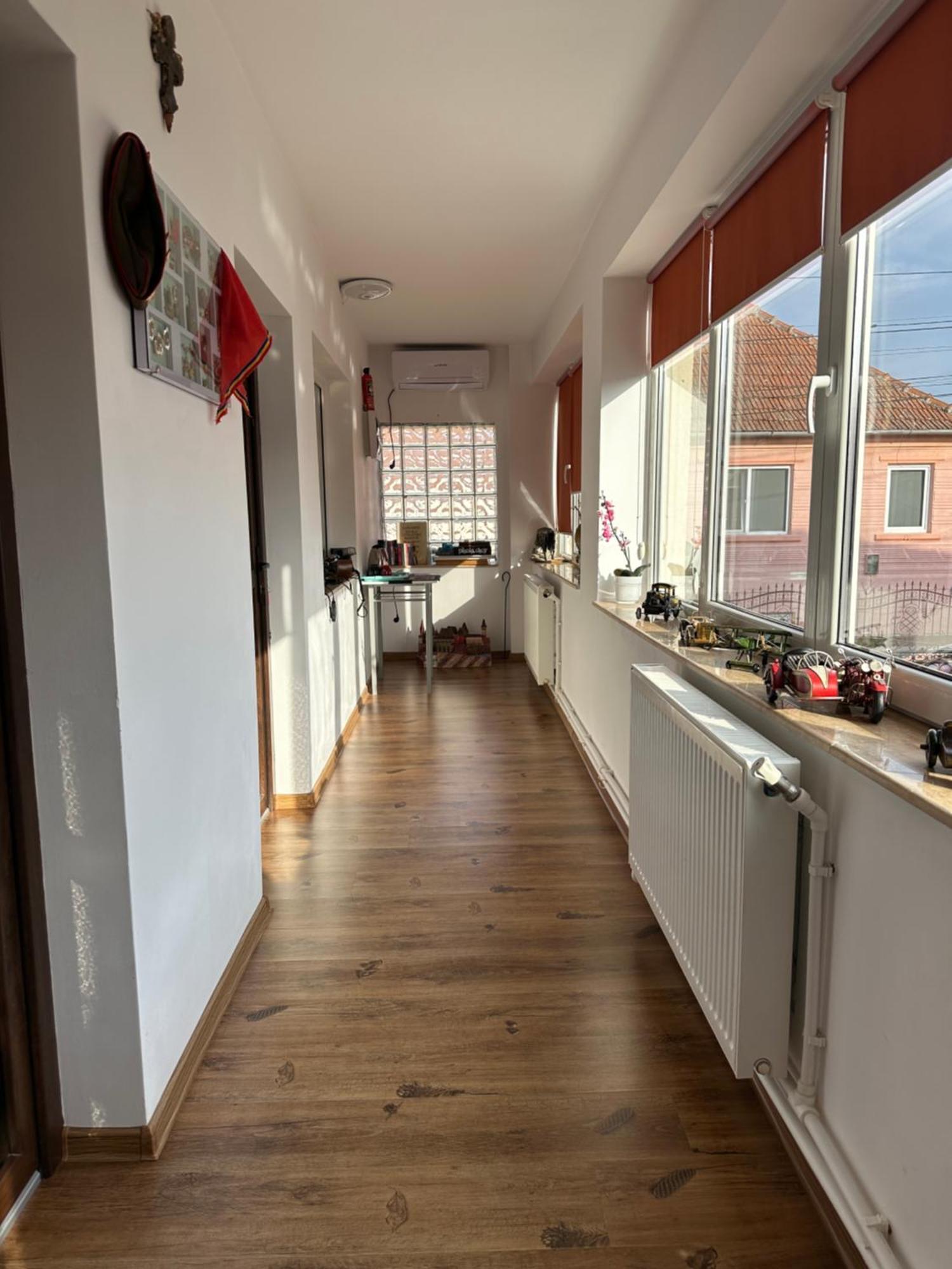 Casa Cezara Apartman Alsószilvás Kültér fotó
