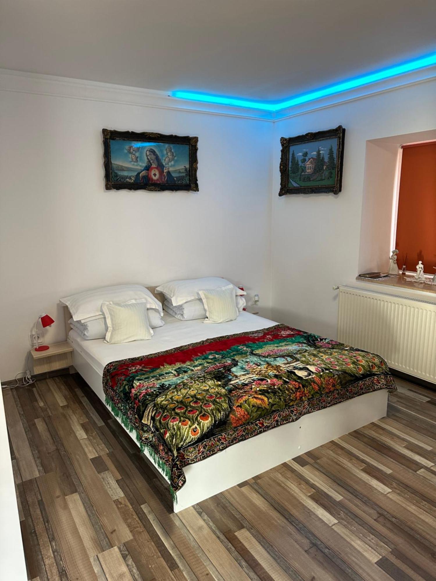Casa Cezara Apartman Alsószilvás Kültér fotó