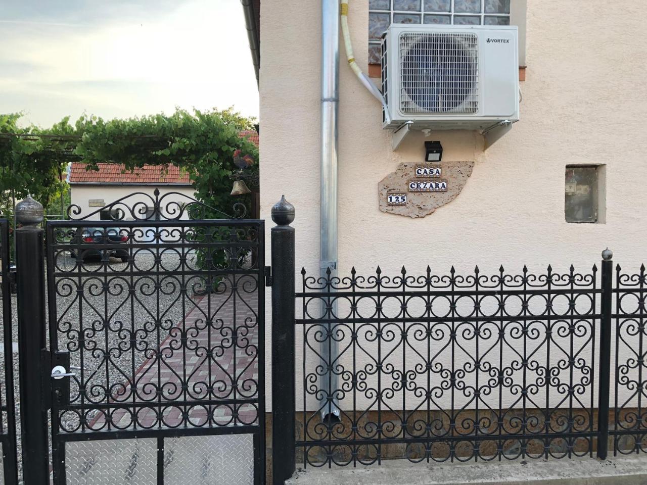 Casa Cezara Apartman Alsószilvás Kültér fotó