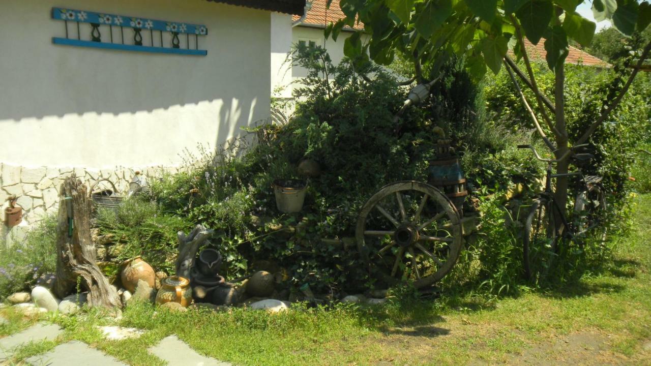 Casa Cezara Apartman Alsószilvás Kültér fotó
