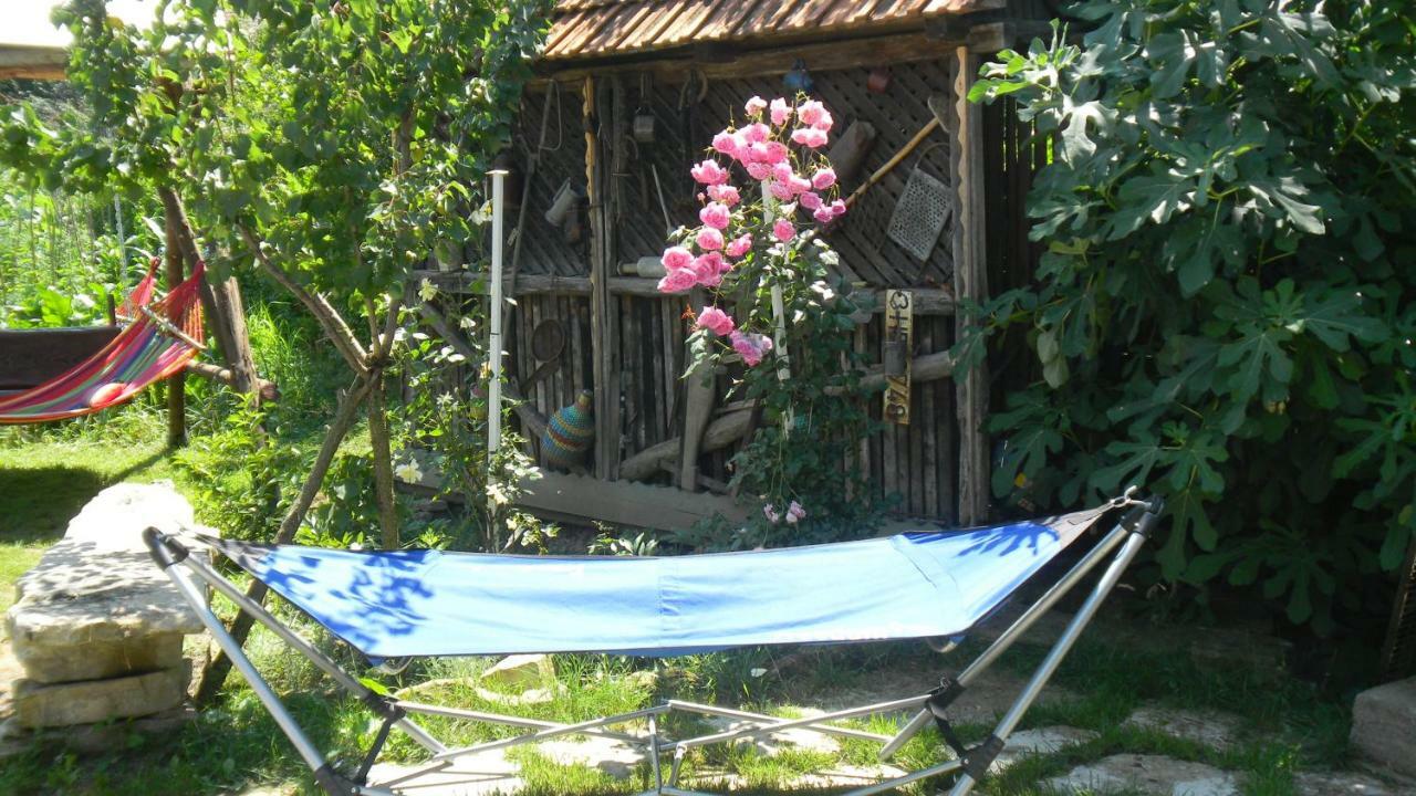 Casa Cezara Apartman Alsószilvás Kültér fotó